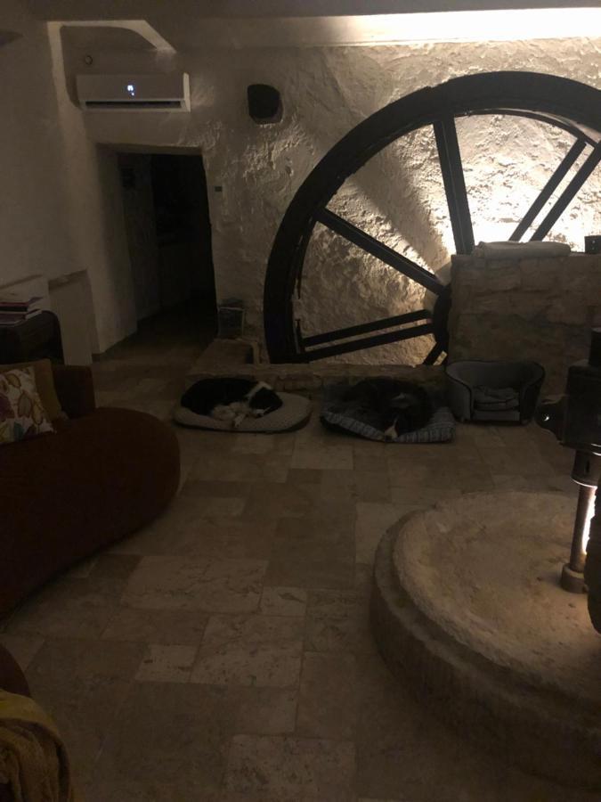 Moulin A Huile Chambre D'Hotes Vins-sur-Caramy Екстериор снимка